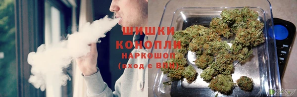 бошки Инта