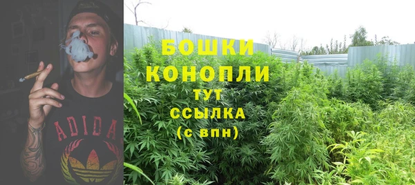 mdpv Иннополис