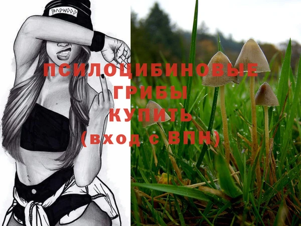 бошки Инта