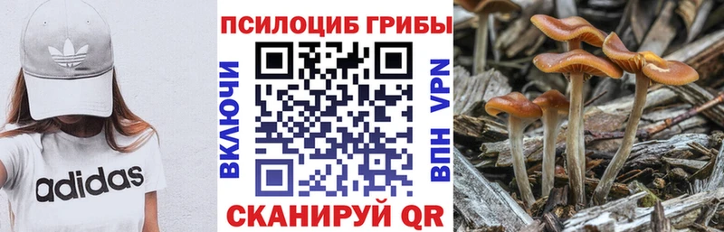 Галлюциногенные грибы GOLDEN TEACHER  наркота  darknet Telegram  Кимовск 
